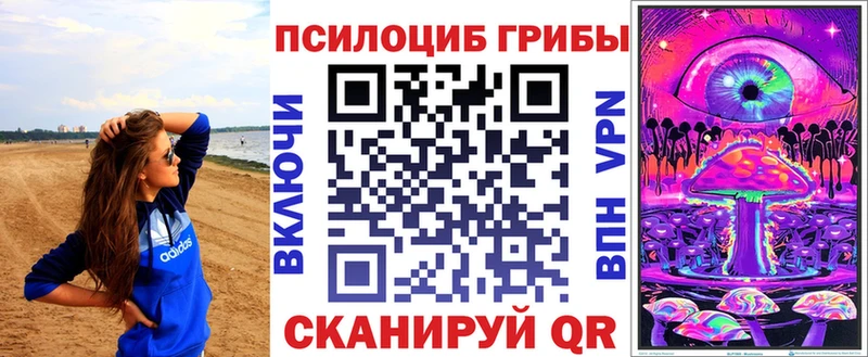 Псилоцибиновые грибы Cubensis маркетплейс клад Лаишево